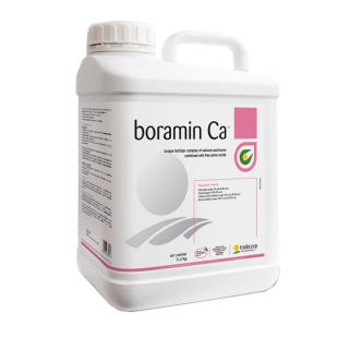 Boramin Ca 1 lit